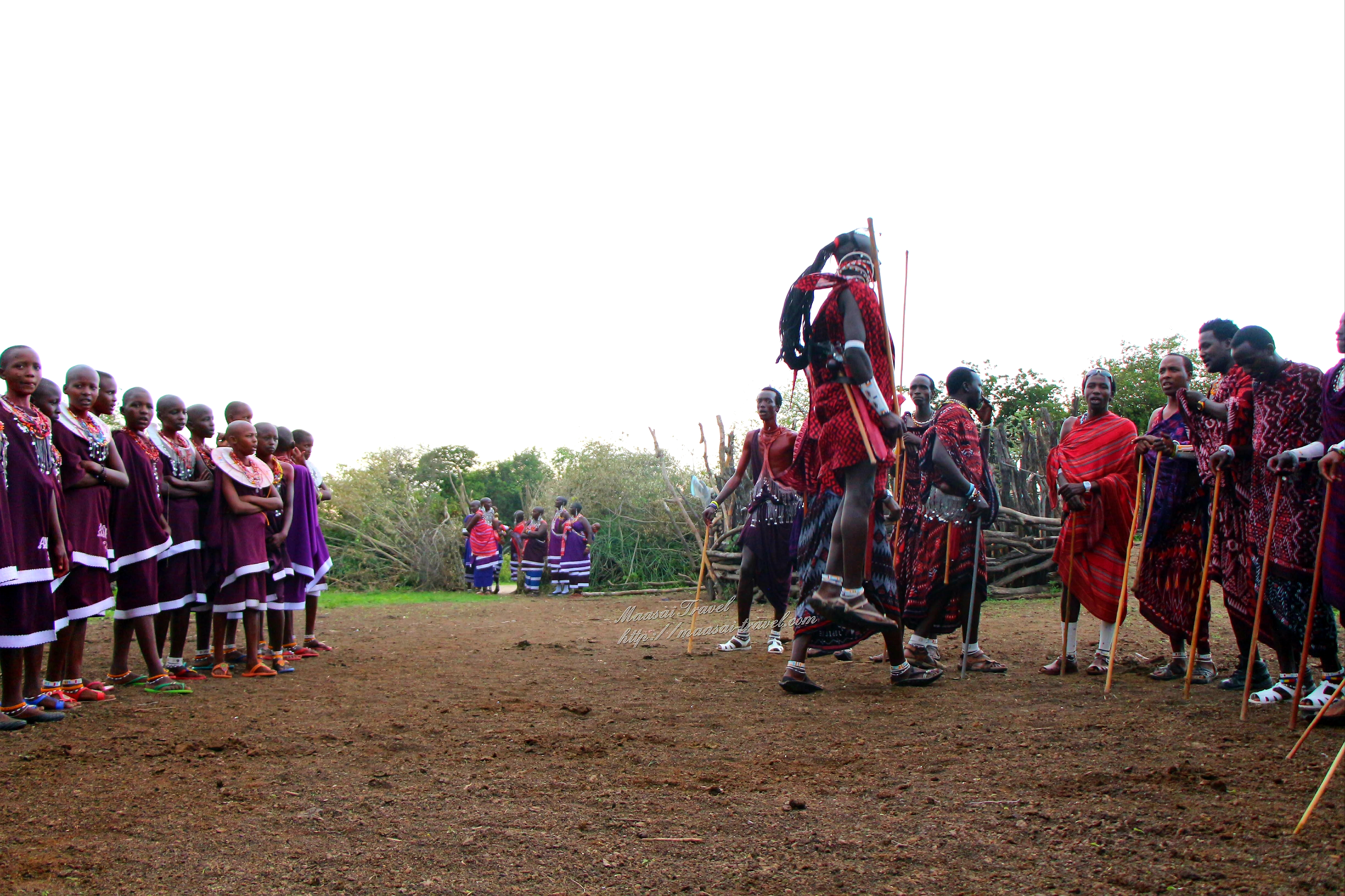 cerimonia maasai warrior Kiberashi - Tanzania