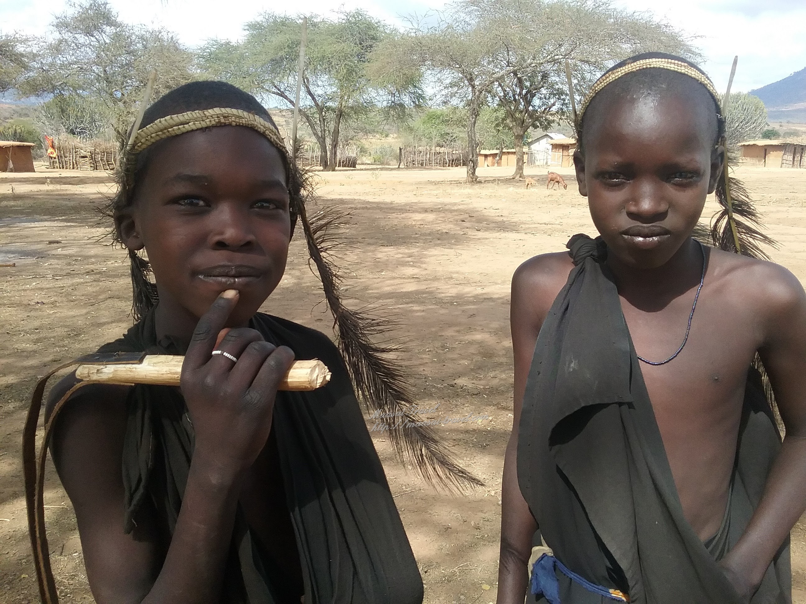 cerimonia maasai warrior Kiberashi - Tanzania