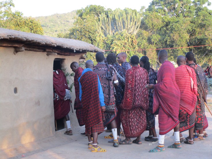 cerimonia maasai a Kiberashi - Tanzania