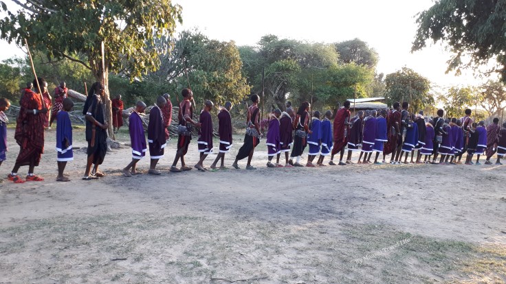 cerimonia maasai warrior Kiberashi - Tanzania