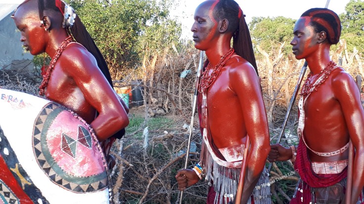 cerimonia maasai warrior Kiberashi - Tanzania