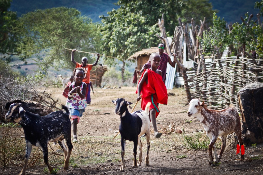 Bambini maasai di casa nostra