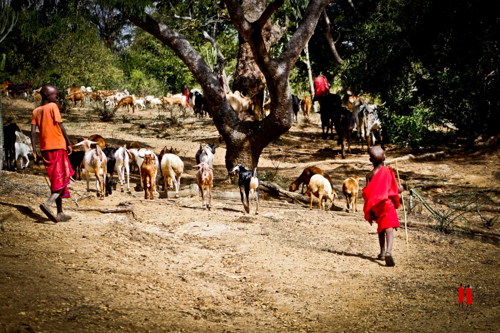 I bambini maasai a casa nostra